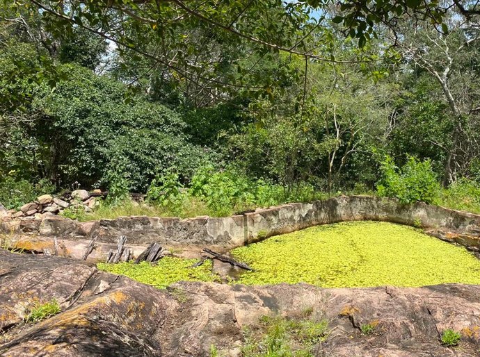 IMA orienta sobre cuidados necessários ao fazer uma trilha ecológica