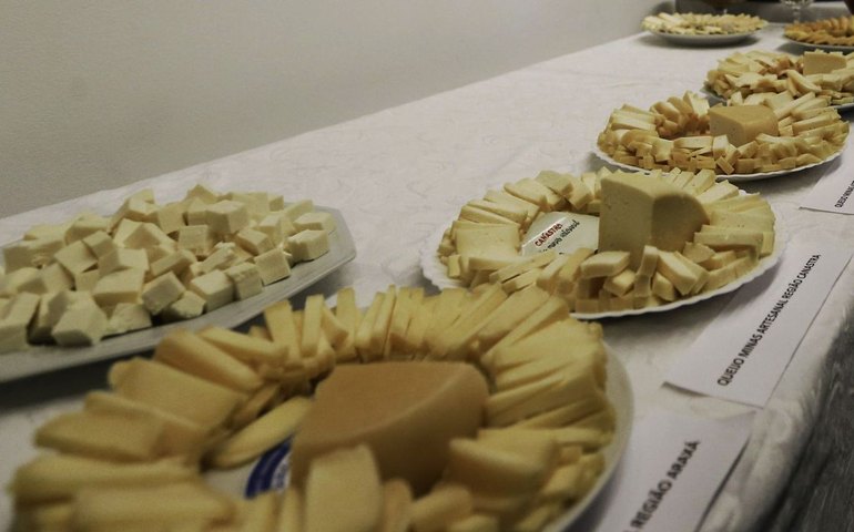 Brasil começa a importar queijo mais barato após acordo Mercosul–UE