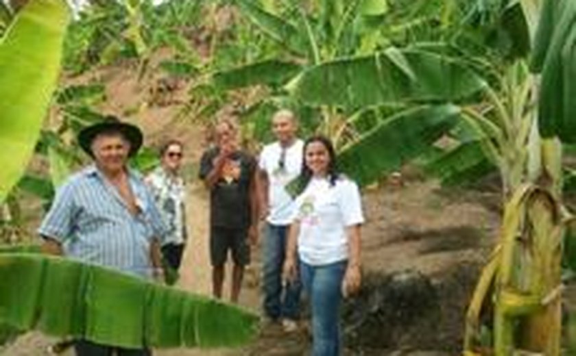 Produtores de União dos Palmares elaboram fertilizante natural para o cultivo de banana