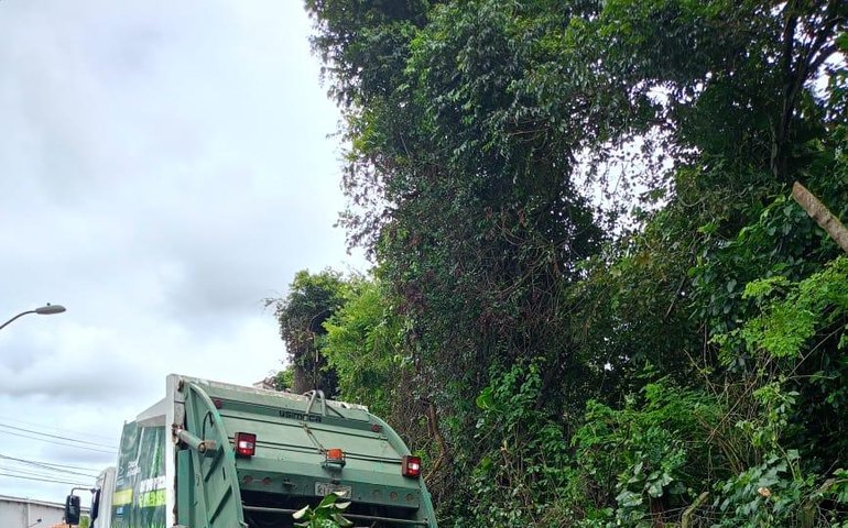 Alurb realiza intervenções em árvores no bairro da Gruta de Lourdes