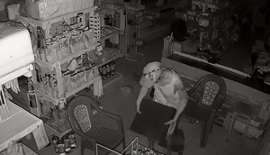 Assaltante furta caixa registradora após arrombar mercearia em Laranjeiras
