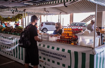 Produtos orgânicos direto do produtor reduz preço para consumidores em Arapiraca