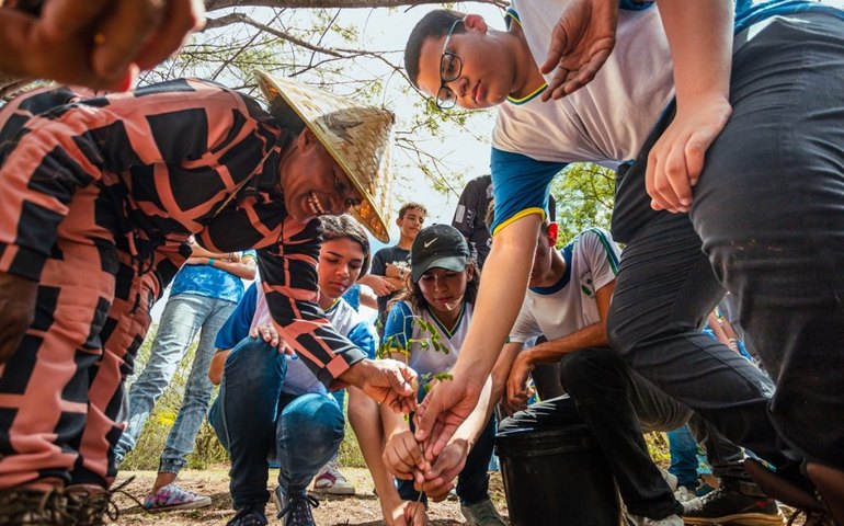 Arapiraca reforça compromisso ambiental com mais de 57 mil árvores plantadas