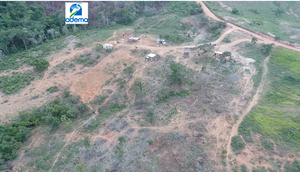 area desmatada em Siriri