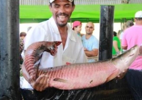 Terceira edição da Feira do Peixe Vivo de Maceió é adiada