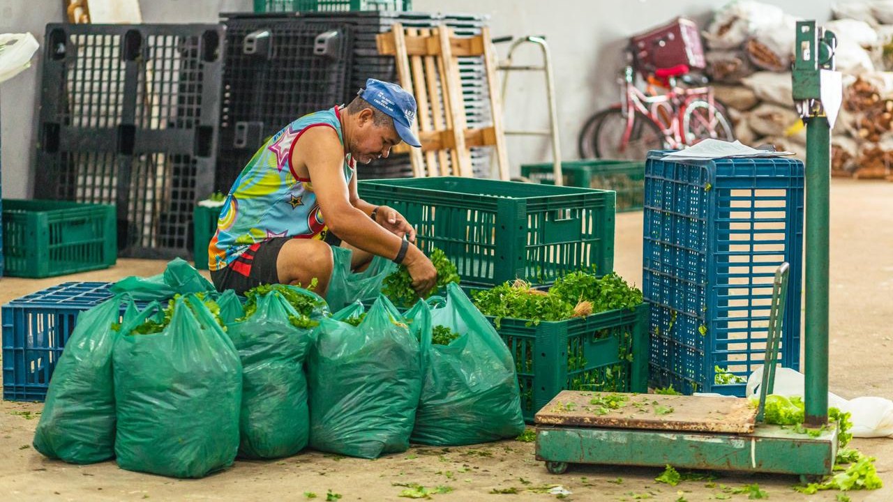 PAA: Prefeitura finaliza abril com 110 toneladas de alimentos entregues e investimento de meio milhão de reais