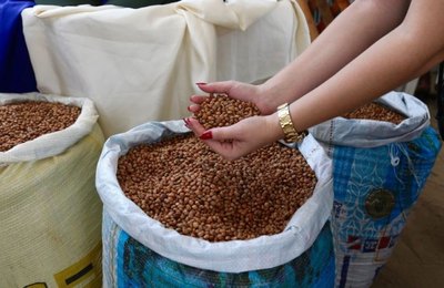 Prefeitura de Campo Alegre realizará o Lançamento da 13ª Edição do Projeto Barriga Cheia