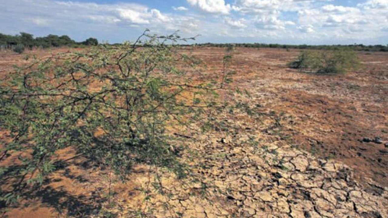 Cooperação técnica combaterá desertificação no semiárido