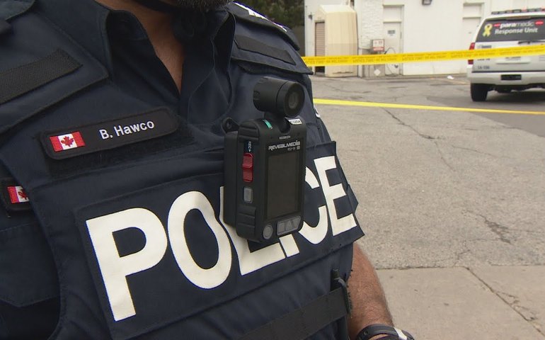 Canguru é resgatado após mobilizar polícia canadense por quatro dias