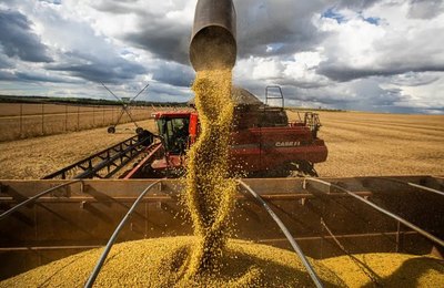 Brasil atinge recorde na colheita de grãos, com 350,2 milhões de toneladas na safra 2024/25
