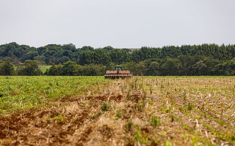 Lei institui Dia Nacional do Plantio Direto em 23 de outubro
